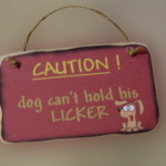 dog licker